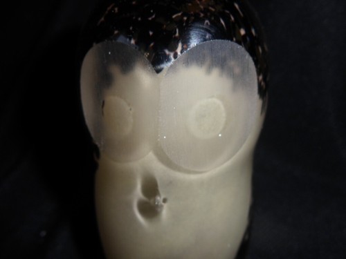 Glass paperweight form of - glass, in