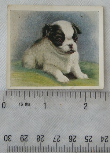1936 godfrey phillips - 1936,