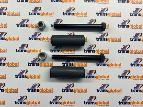 Rear front spring chassis bush - front,