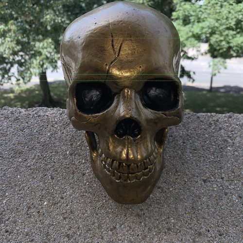 Halloween life size skull 20cm