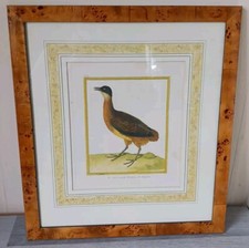 Bird print british library ltd - print,