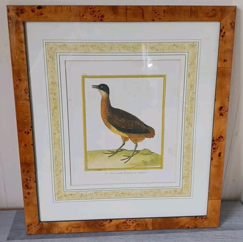 Bird print british library - library, ltd