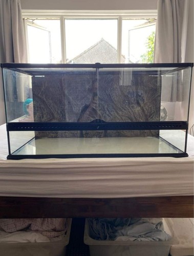 Reptile terrarium starter - ,
