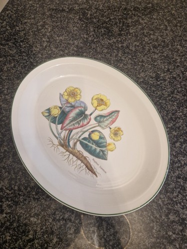 Enoch wedgwood florabunda - enoch,