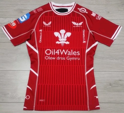Llanelli scarlets rugby home - llanelli,