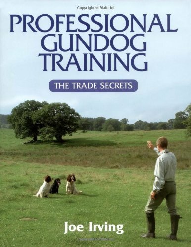Professional gundog training - professional,