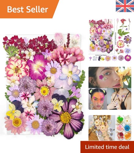 Types 37pcs purple - 37pcs,