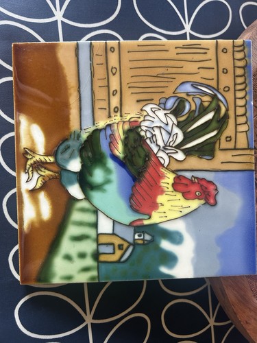 Brightly coloured chicken - brightly,