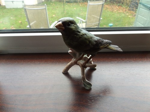 Goebel porcelain greenfinch - porcelain,