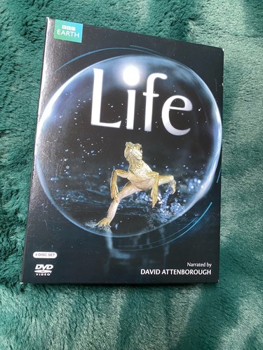 Life colour with - life,