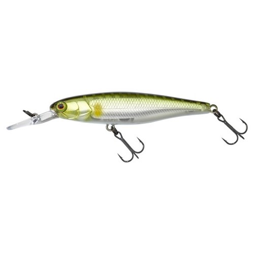Illex jackall squirrel - jackall,