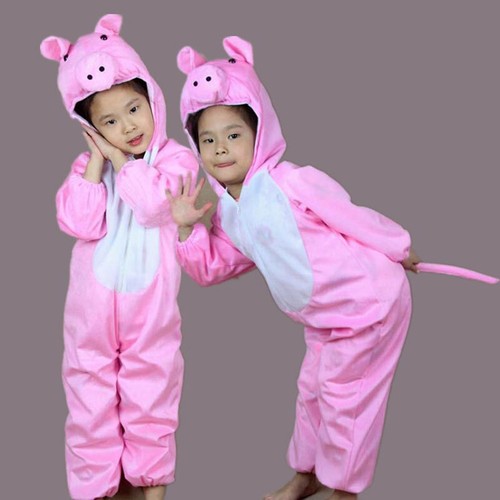 Animal pink pig costume - animal,