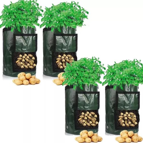 Plant grow bags gallon - plant, 10