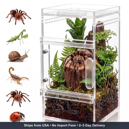 Pre assembled jumping spider - pre-assembled,