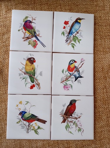 Vintage johnson bros bird - vintage,