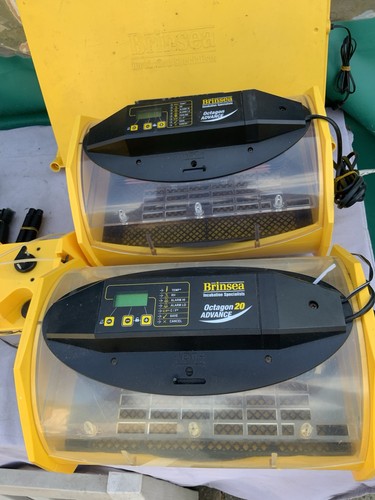 Brinsea incubators octogon - brinsea,