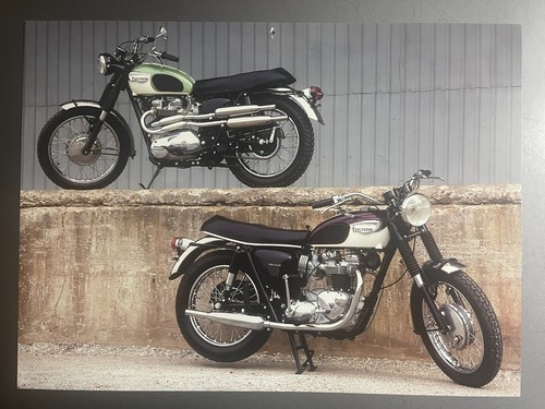 1967 triumph tr6c t120r - 1967,