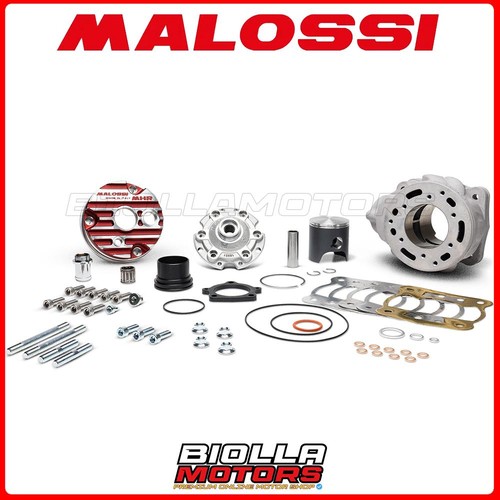 3118679 thermal group malossi - 3118679,