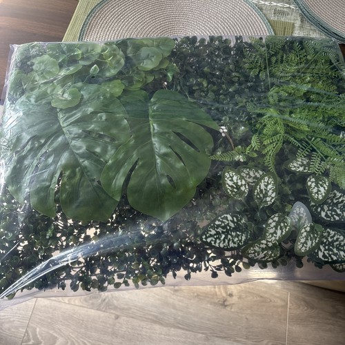 Vivarium plant banana - vivarium,