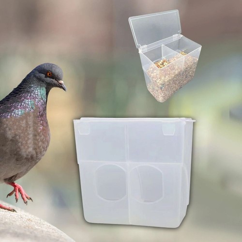 Pigeon feeder bird food - pigeon,