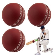 Cricket ball sports wind - sports,
