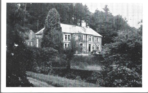 Lovely rare old postcard - old,