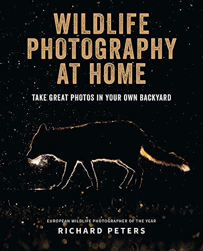 Wildlife photography home - photography, at