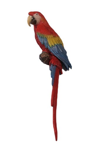 Scarlet macaw wall - wall, sculpture