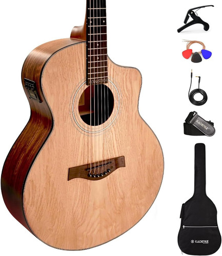 Electric acoustic guitar - electric,