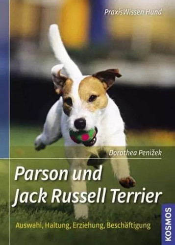 Parson und jack russell - parson,