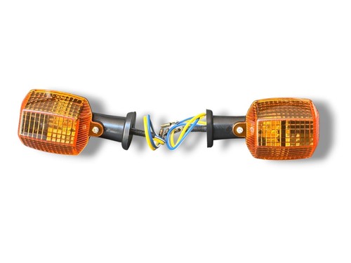 Pair rear turn signal - rear,