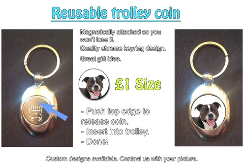 Staffordshire bull terrier - terrier,