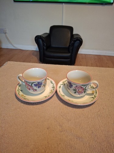 Staffordshire tableware - x,