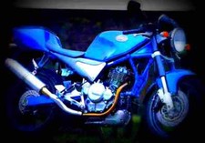 Suzuki Goose 350 Goose 350 3