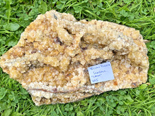 Large Museum Cabinet Display