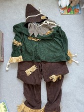 Morph Costumes Friendly