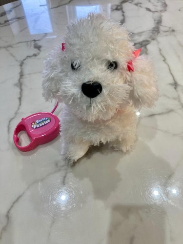 Fluffy puppies walking - puppies, walking/barking