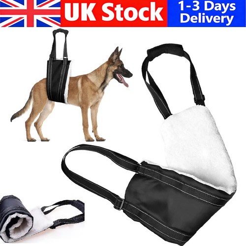 Pets dog mobility aids support - mobility,