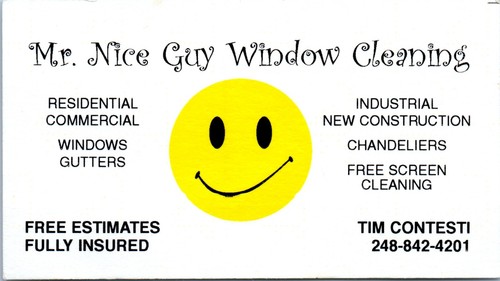 Nice guy window cleaning - guy,