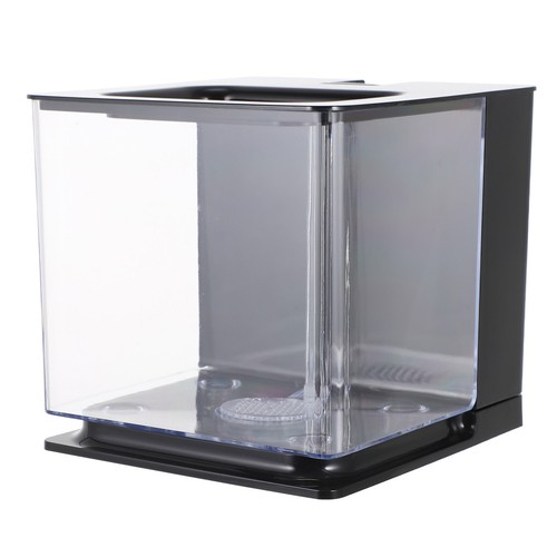 Reusable acrylic fish - acrylic,