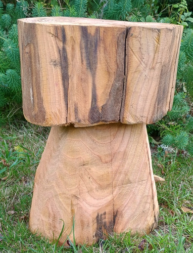 Mushroom stool garden fire - , pit