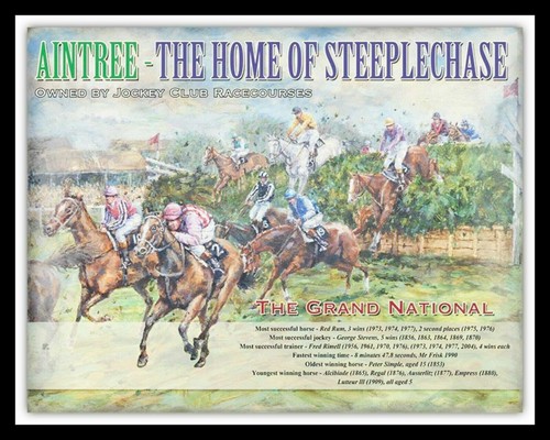 Grand national horse race red - grand,