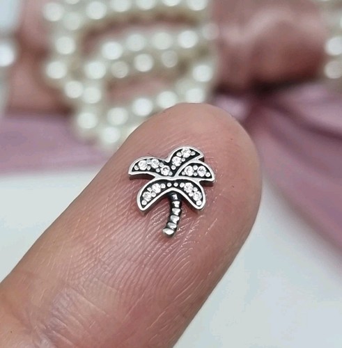 Genuine pandora palm tree - genuine,