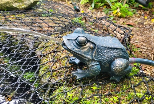 Pond spitter frog garden - spitter, water