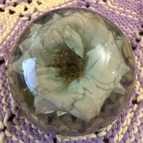 Lucite paperweight rose floral - lucite,