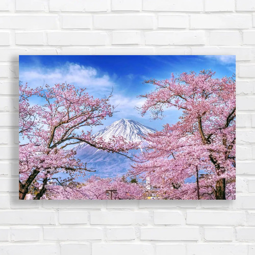 Stunning cherry blossom - stunning,
