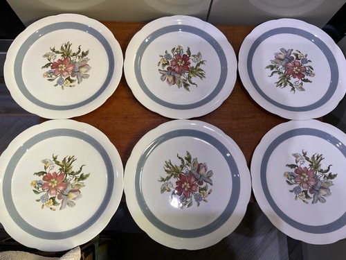 Dinner plates crown - plates, x
