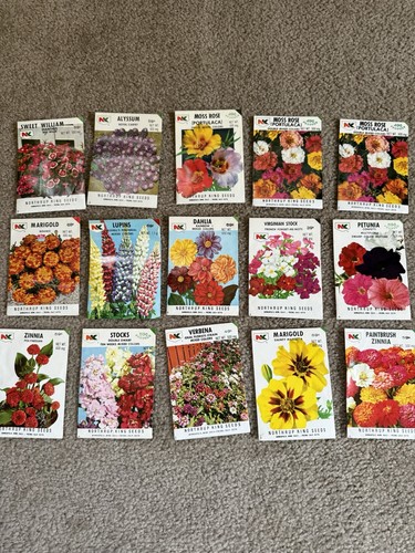 Vintage flower seed - vintage,