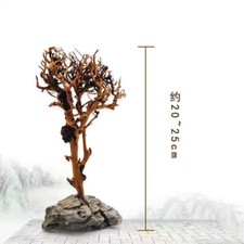 Driftwood Tree Aquarium Fish