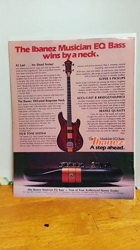 Ibanez musician bass guitar - musician,